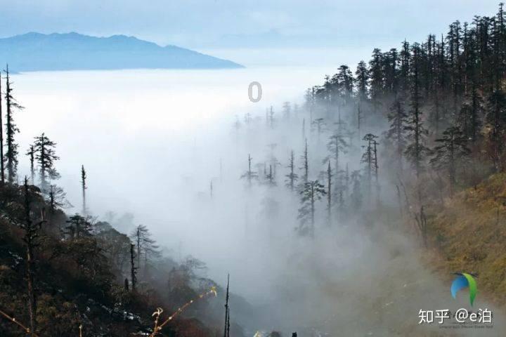 传射建功+2关键传球,热苏斯当选枪手对阵森林一役全场最佳