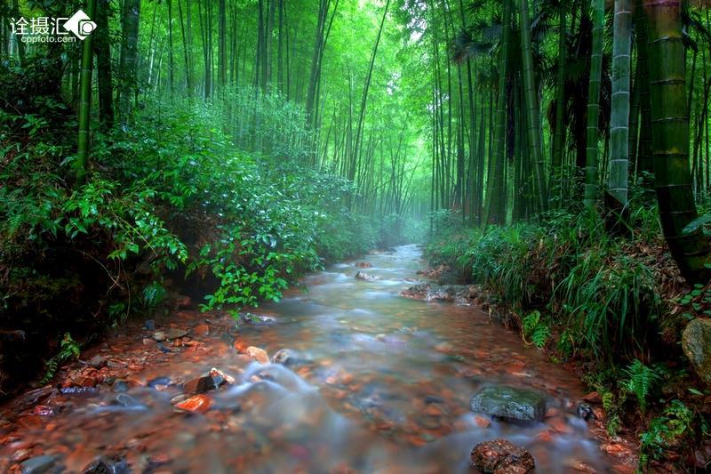 寂静岭：暴雨