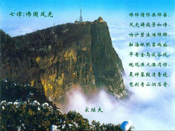 拯救毛茸茸男人
