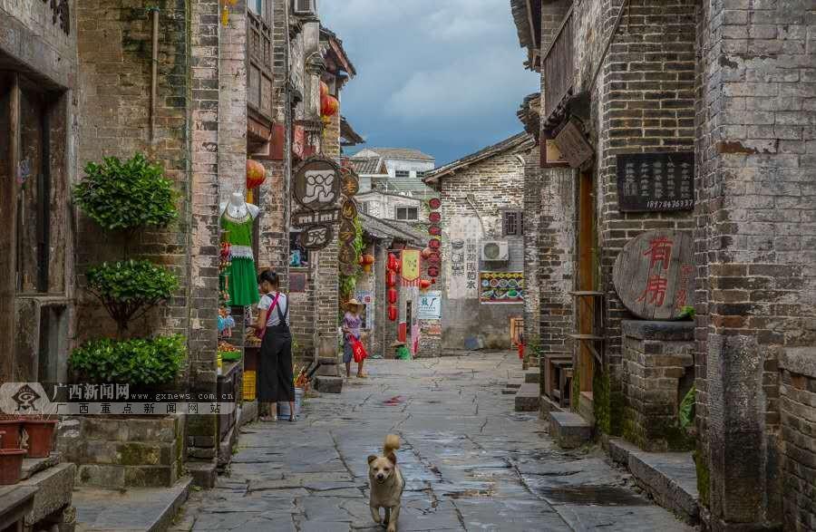 劫后余生：夺回