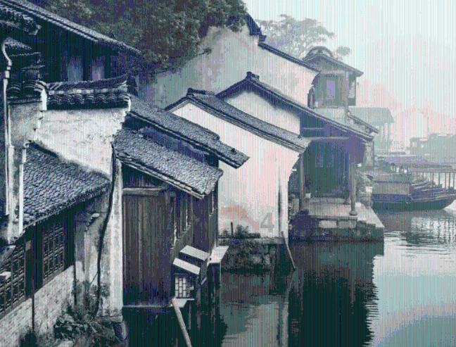 春雨直播app
